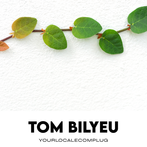 Tom Bilyeu AI Mentor
