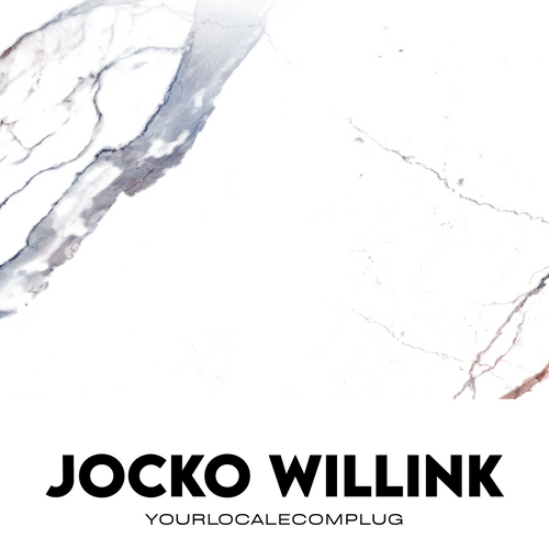 Jocko Willink AI Mentor