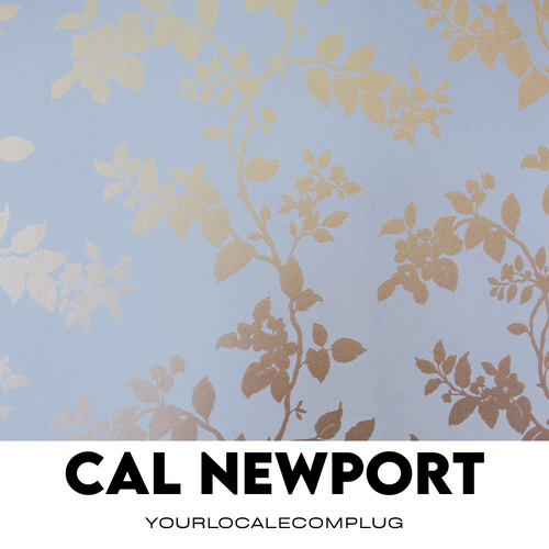Cal Newport AI Mentior