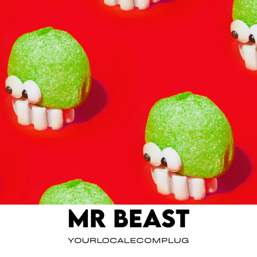 Mr Beast AI Mentor