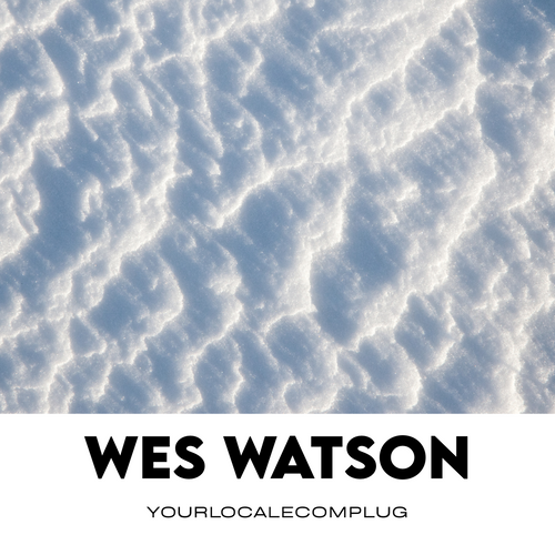 Wes Watson AI Mentor