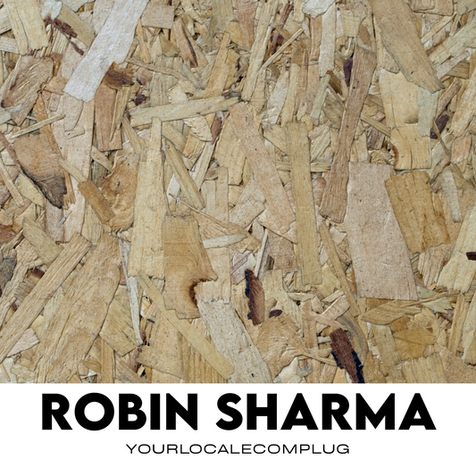 Robin Sharma AI Mentor