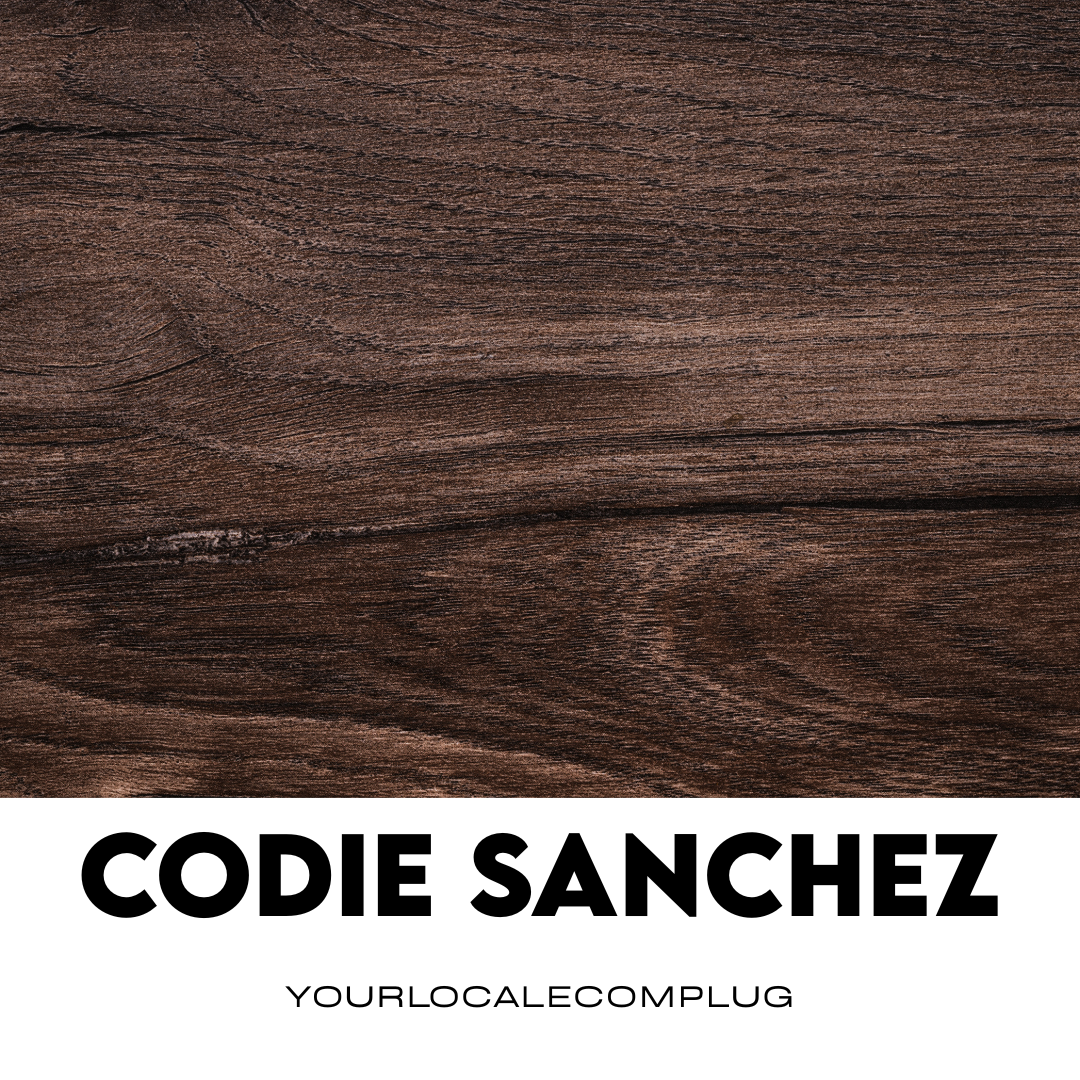 Codie Sanchez AI Mentor
