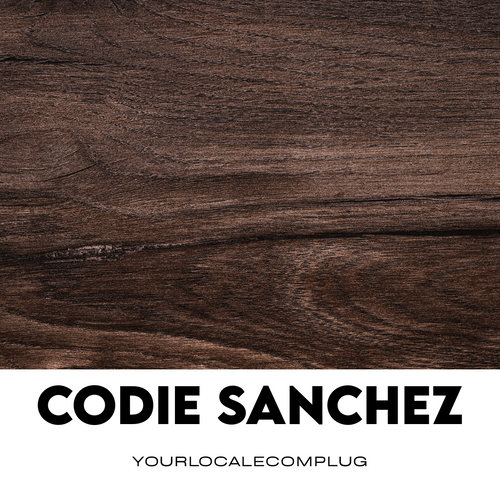 Codie Sanchez AI Mentor